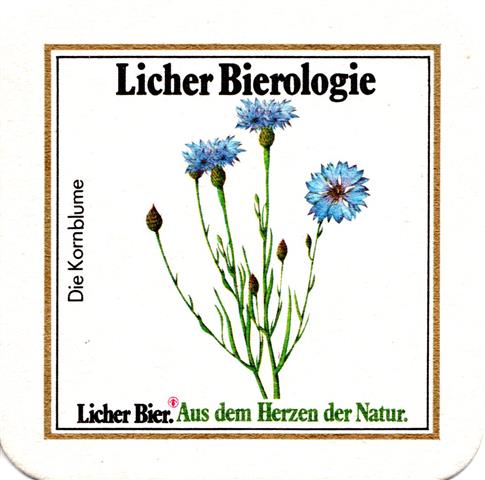 lich gi-he licher biero blu eckig 5b (quad185-gemeiner lwenzahn)